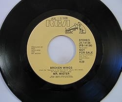 broken wings / same 45 rpm single