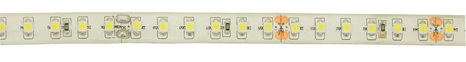 Lyyt | Professional 24V high Output LED Tape | Cool White | 5M Reel