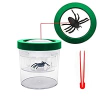 YYhappy childhood Nature Exploration Toys for 4-5 Year Old Boys Bug Viewer Box Plastic Transparent Insect Catcher Kit with 8 XMagnifying Lens Gifts for 4-8 Years Old Girl (Green)