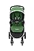 RECARO Performance Denali Stroller, Fern
