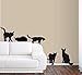 6 Cats Wall Decals in Life Size!
