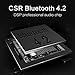 DOTING Bluetooth Speakers,Wireless Speaker 20W Drive and 13W Subwoofer with DSP Technology Enhanced Bass, Portable Speaker with NFC,Touch,Dsp,HDSound,Bluetooth 4.2,Built in Mic (Silver)