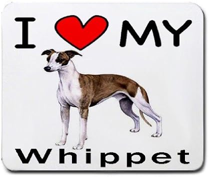 i love my whippet