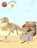 AKINGSHOP Dinosaur Excavation Kits for Kids,Dino Dig Kits T-Rex,Dinosaur Fossil Excavation Kits for Kids,Children's Popular Science Education Toys - Dinosaur DIY Toys (T-Rex), White