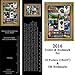 2016 National African American History Month Bookmarks and Poster Set 10 Posters & 100 Bookmarks Hallowed Grounds: Sites of African American Memory (B16ASET)