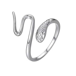 41n57JN%2BOfL. SS300