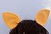 Blooms And Bugs Fluttershy My Little Pony Ears Clip - Pony Clips - My Little Pony Ears
