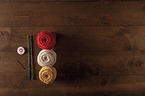 2 Knit+Picks+Learn+Club+Dishcloth