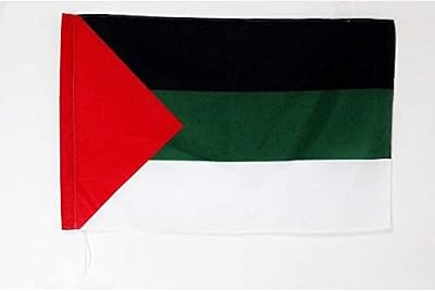 AZ FLAG Pan-Arabism Flag 2x3 ft Sleeve 100% Polyester Fade Resistant