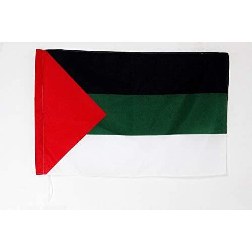 AZ FLAG - Pan-Arabism Flag - 2x3 Ft - Arabist Banner with Sleeve - 100% Polyester - Fade Resistant - Vivid Colors - 2' x 3' Feet - 90x60 Cm — image 1