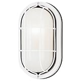 Westinghouse 6783500 One-Light Exterior Wall Fixture, White Finish on Steel with White Glass Lens (Tools &amp; Home Improvement)