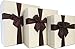 Cypress Lane Gift Boxes with Ribbon, a Nested Set of 3 (White)
