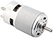 Yeeco Electric DC Motor 24V Dual Shaft 12000RPM High Torque Dual Axle Dual Output Shaft Ball Bearing Electric DC Motor Driver for DIY Parts