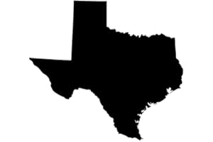 IVYBEE DECALS Texas Lone Star State Longhorn Pride Decal Sticker - Black 5" Vinyl Decal for Cars, Laptops