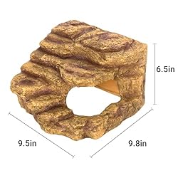 Reptile Hideout Cave Climbing Ramp Basking Platform