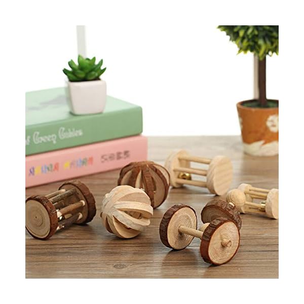 CCCYMM-6-Pcs-Pet-Natural-Wooden-Chew-Toys-Dumbells-Exercise-Bell-Molar-Toy-for-Parrot-Rabbit-Chinchilla-Guinea-Pig-Hamster-Small-Animals CCCYMM 6 Pcs Pet Natural Wooden Chew Toys Dumbells Exercise Bell Molar Toy for Parrot, Rabbit, Chinchilla, Guinea Pig…