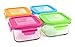 Wean Green Glass Food Storage Containers, Lunch Cube 16 Ounces, Garden Pack (4 Pack)