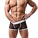 HP95(TM) Men's Bikini Underwear, Low Waist Mesh Transparent Sexy Boxers Bulge Comfy Shorts Underpants Underwear (M, D)
