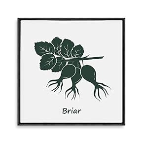Framed Canvas Wall Art for Living Room, Bedroom Nordic Style Plants Theme Canvas Prints for Home Decoration Ready to Hang - 16x16 inches