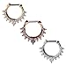 Ruifan 16G Nose Ear Daith Septum Clicker Ring with Clear CZ Gems 316L Surgical Steel 3PCS - Assorted Color 2#
