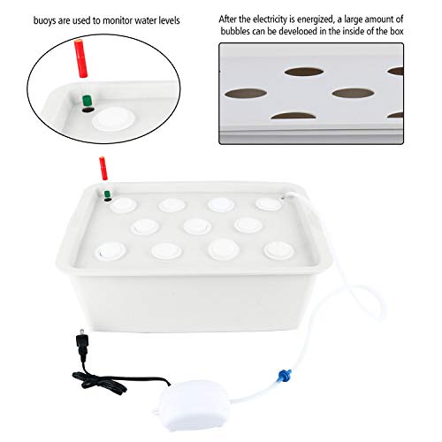 Homend Indoor Hydroponic Grow Kit with Bubble Stone, 11 Sites (Holes