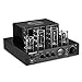 Nobsound MS-10D MKIII HiFi Bluetooth Hybrid Tube Power Amplifier Stereo Subwoofer Amp USB/Opt/Coaxthumb 4