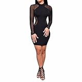 Boomboom New Spring Long Sleeve O Neck Evening Party Mesh Dress for Women (L, Black)