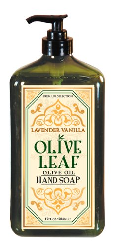 Home and Body Company Olive Leaf Hand Soap, Lavender Vanilla, 17 Ounce