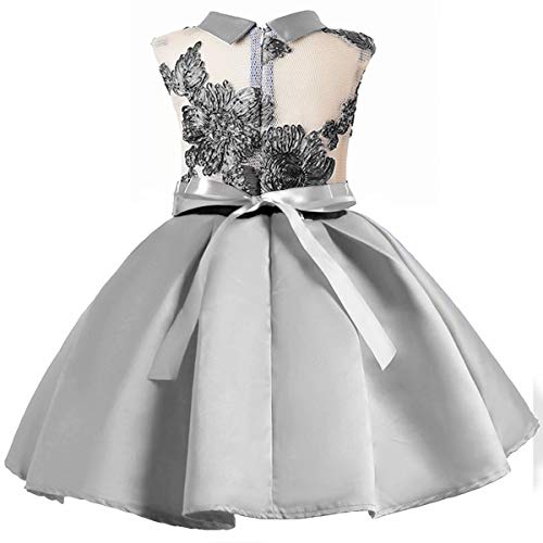 AYOMIS Flower Girl Pageant Dress Kids Party Embroidery Wedding Dresses 2-9 Years(Silver,5-6Y)