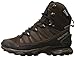 Salomon Women's X Ultra Winter CS WP W Snow Boot, Absolute Brown/Brown Black/Bordeaux, 8.5 M US