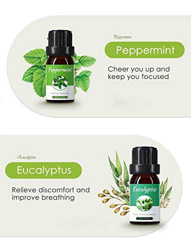 Homasy Aromatherapy Essential Oil Set, 100% Pure Essential Oils Gift Set, Top 6 Natural Essential Fragrance Oil Set for Diffuser, 10ML(Tea Tree, Peppermint, Lavender, Eucalyptus, Lemon Grass, Orange)