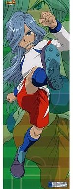 イナズマイレブン キャラポスコレクション3 エドガー バルチナス Amazon