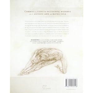 Anatomía para posturas de apertura de la cadera y de flexión hacia delante