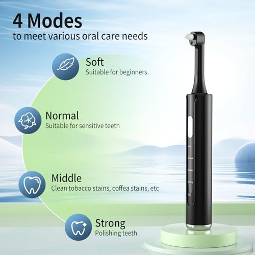 Tooth Polisher, Rechargeable Teeth Sander with 5 Brush Heads, 3 Polish Pastes, LED Light, 4 Speed Modes, Waterproof Dental Cleaning Kit for Whitening and Polishing (Black)