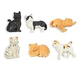 Set of 6 Cat Magnets - Funny Animal Refrigerator Magnets, Perfect Animal Lover Gifts