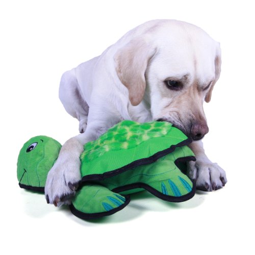 Outward Hound Lil Rippers Warthog Dog Toys Squeak Toy Removable Fetch