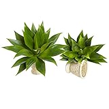 Nearly Natural 6109-S2 Agave Succulent Plant, 17-Inch, Set of 2
