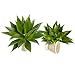Nearly Natural 6109-S2 Agave Succulent Plant, 17-Inch, Set of 2