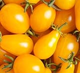 Sweet Yards Seed Co. Organic Cherry Tomato Seeds 'Yellow Pear' - Over 75 Open Pollinated Heirloom Non-GMO Seeds