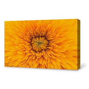 SIGNFORD Canvas Wall Art for Living Room,Bedroom Home...