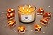 Caitlins Home Scented Candle Aromatherapy White Tea and Ginger 3 Wick Natural Wax with Essential Oils