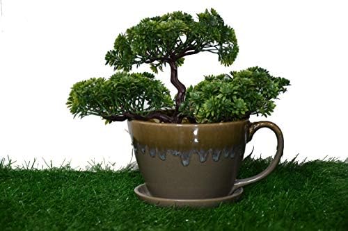 Crystal View Crafts Glazed Pot Cup Shaped Planter (Grey)