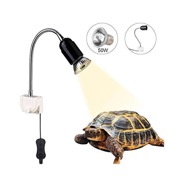 GOLDGE-Tartaruga-Illuminazione-50W-Basking-Lampada-Alogena-Calore-Retroilluminazione-UVA-UVB-per-Rettile-Lucertola-Tartaruga-Acquario-E27-E26-Calore-Lampada-Portalampada-Ruotabile-Regolabile-a-360- GOLDGE Tartaruga Illuminazione, 25W Basking Lampada Alogena Calore Retroilluminazione UVA UVB per Rettile Lucertola…