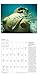Environmental Art 2017 Calendar: Contemporary art in the natural world