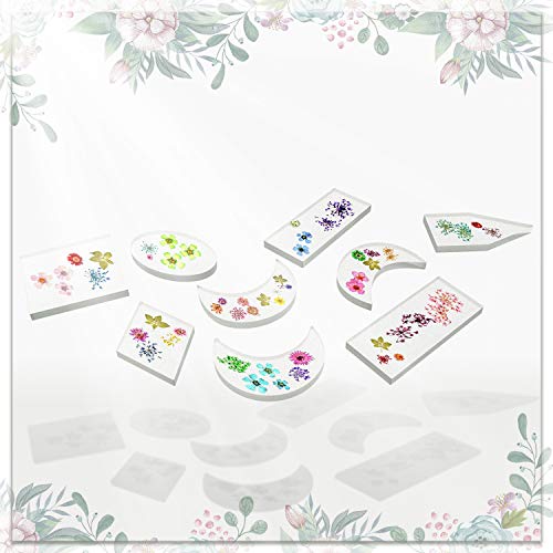 3 Boxes Natural Real Dried Flower Dry Flowers Nail Stickers Colorful with 30PCS Hollow Bezel Trays, Tweezers, for Epoxy Resin Casting Molds, Nail Art, DIY Making Craft, Nail Decals (Set 1)