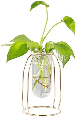 Hydroponic Vase Home Décor - Vase for Flowers & Planter Decorations Container - Luxury Gold Metal Frame, Glass Test Tube, Great for Any Plant or Faux Plants (Small)