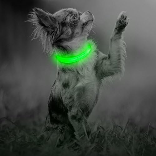 Illumifun LED Dog Collar