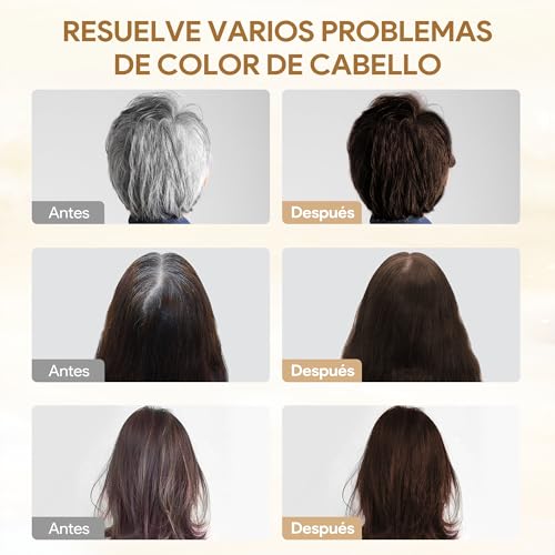 Dark Brown Hair Dye Shampoo 3 in 1, Shampoo para Canas con Tinte, Champú para Teñir el Cabello Marrón Oscuro, Champú Tinte Cubre Canas para Mujer y Hombres (500ML)