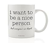 Funny Gift Mugs I Want To Be A Nice Person But Everyone's So Stupid Amusing Quote Work Office Humor Sarcastic Christmas Birthday Present Friend Coworker 11oz Ceramic Coffee Cup by Digibuddha DM0323