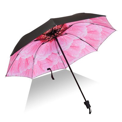 Flower Printed UV Umbrella for Sunlight & Rain (Phalaenopsis Orchid)